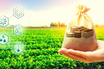 Scaling up an Agricultural Business in 90 Days