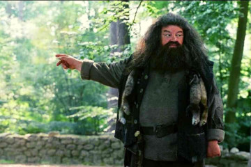 Harry Potter's Hagrid AKA Robbie Coltrane's Cause of Death Revealed