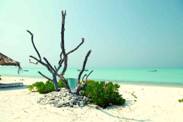 Lakshadweep beaches now carry the coveted Blue beach tag