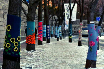 South Koreans start putting on sweaters for trees during Winters