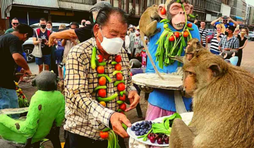 The Lopburi Monkey Festival in Thailand attracts tourists.