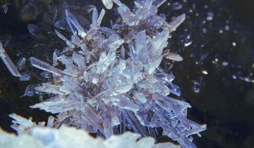 Chinese river has ice flowers that look insanely beautiful