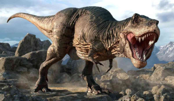T-Rex's Brainpower Shocks Scientists: Intelligence Level Higher Than Previously Believed