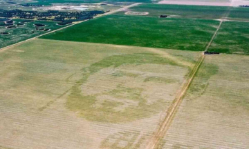 Argentine farmer grows Messi image in corn field