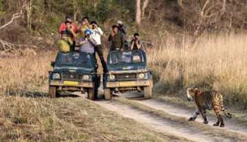 Ramnagar, Gateway to Jim Corbett National Park, Up in Arms Against Wildlife Crime