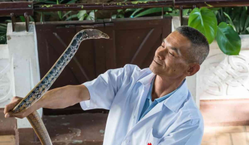 What is a snake farm? Yeah, there is something like that