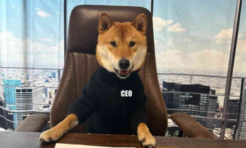 Dogecoin Is Up. Why? Because Elon Musk Just Put His Shiba Inu In the 'Twitter CEO chair'