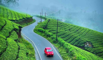 Munnar sees rare weather pattern as mercury dips to sub-zero levels again