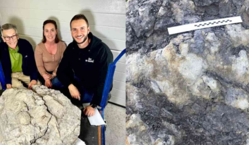 Stunning Jurrasic Footprint Found on The "Jurrasic Coast"