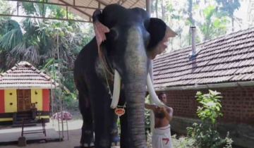 Robot elephant to perform religious rituals in Kerala: when science meets religion