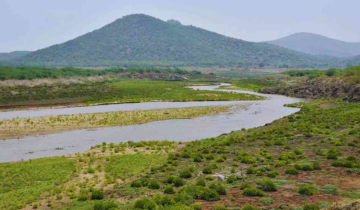 The Cauvery Basin has dipped to 50% of overall capacity