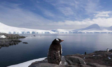 Crucial Antarctic ocean circulation heading for collapse if planet-warming pollution remains high, scientists warn