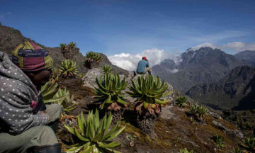 Glaciers are vanishing in Uganda and we cant do much to save them