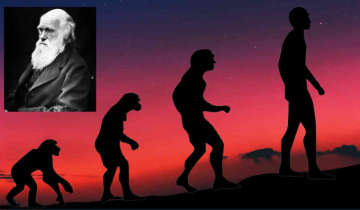 NCERT Removes Darwin's Theory of Evolution from Syllabus