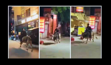 A Drunk Man Rides a Bull in Rishikesh, Regrets after Facing Police