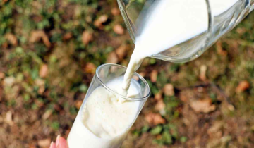 Milk prices likely to come down in 5-6months: Heritage Foods CEO