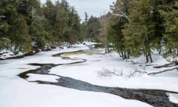 US:8-year-old boy survives 48 hours alone in woods by eating snow