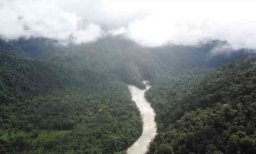 Four kids, including a baby were discovered alive in the Amazon Rainforest following a plane crash