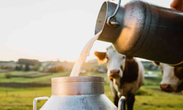 UP ropes NDDB to support three women-owned milk producer companies