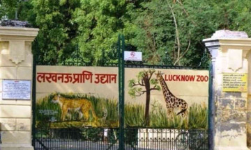 First Urban Night Safari in Lucknow be done by the end of the year