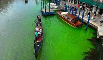 Italy: The Grand Canal in Venice turns vibrant green in colour