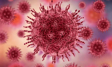 Unfamiliar with the HMPV Virus? Discover the virus quietly spreading across the US