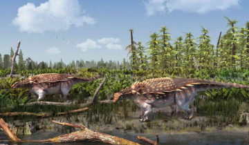 Ankylosaurus: A new dinosaur species found on the Isle of Wight, UK