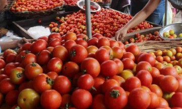 Tomato buyers see red as prices soar to 130/- per kg