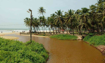 Vygr Goa: Preserving Colva Beach, the challenges & solutions