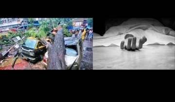 Mumbai: 70-year-old lady passes away as tree collapses, marking 4th accident in the city