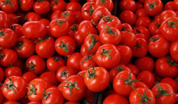 Farmer made Rs. 2.8 cr by selling Tomatoes, sets target of Rs. 3.5 cr