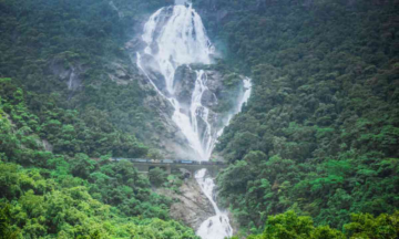 Karnataka bans tourists from visiting waterfalls sites