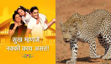 Mumbai film City - Leopard creates chaos at TV serial set