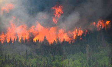 Canadian wildfires intensify, over 35000 people displaced