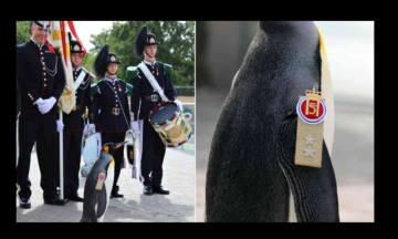 Penguin ranks third in Norwegian army after promotion