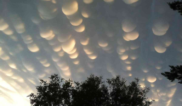 Mammatus clouds grace skies of China's Hubei province