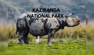 Sonali Ghosh to be first Woman field director of Kaziranga National Park