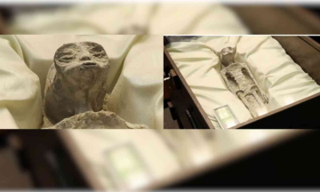 Mexican UFOlogist Showcases 'Ancient Alien Corpses,' at Mexico Congress