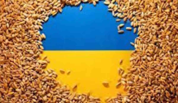 Eastern EU Nations Impose Grain Import Restrictions on Ukraine