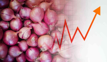 Maharashtra's onion traders surrender licenses amid 40% Export Duty strike, prices likely to surge