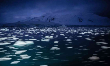 Sea Ice in Antarctica hits extreme record low