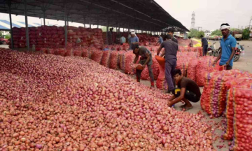 Asia's largest onion market in Nasik Resumes auctions as strike ends