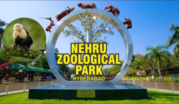 Hyderabad Zoo welcomes Capuchin Monkeys for 60th anniversary celebration