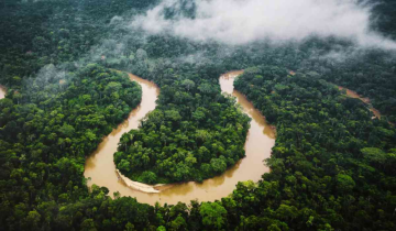 Amazon Rainforest river dwindle to century-lowest amid Brazil drought