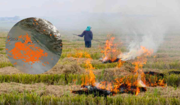 Punjab stubble burning is back: NASA's satellite observes 740% surge