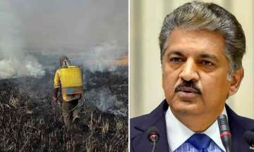 What is Anand Mahindra's proposal to better air quality in Delhi, and does it makes sense?