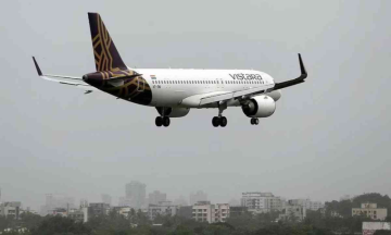 Goa-bound Vistara flight turns back after dog spotted on runway