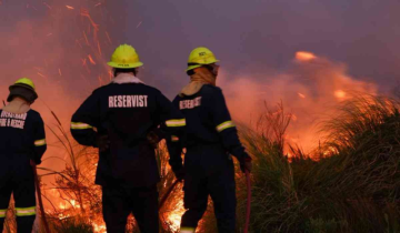 Wildfires in South Africa, residents evacuated from small coastal towns