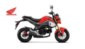 Honda's  'Grom' ready  for 2024 with bold  design, check  for new features