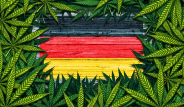 German Parliament blazes ahead with Cannabis legalisation for adults